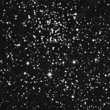 IC 1369